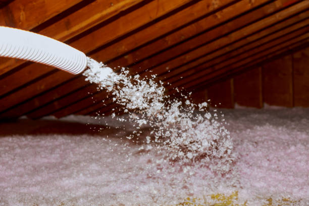 Best Home Insulation Services  in Smithfield, VA