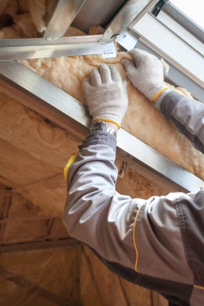 Best Residential Insulation Services  in Smithfield, VA