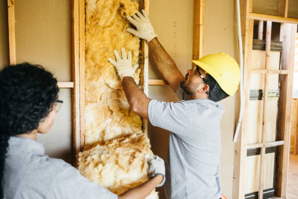 Best Insulation Inspection Services  in Smithfield, VA
